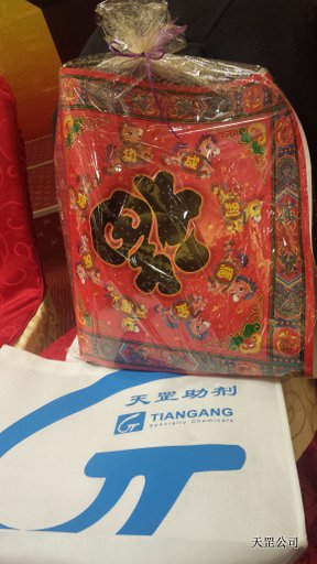 天罡公司2014年新春聯(lián)歡會(huì)在北京國(guó)開會(huì)議中心舉行